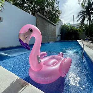 https://luxury-2bedroom-saltwater-pool-gym-fast-wi-fi.quintano-roohotels.com